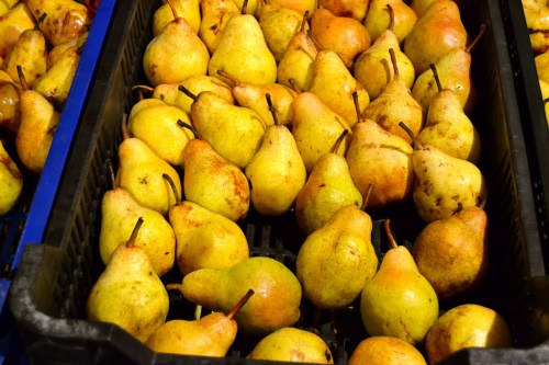 Pears