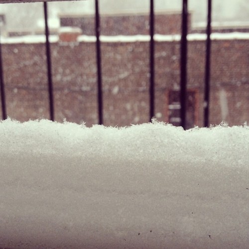 1609885_574888064033_140790422_n